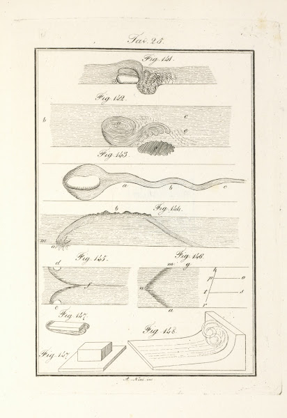 Tavola 25 1828