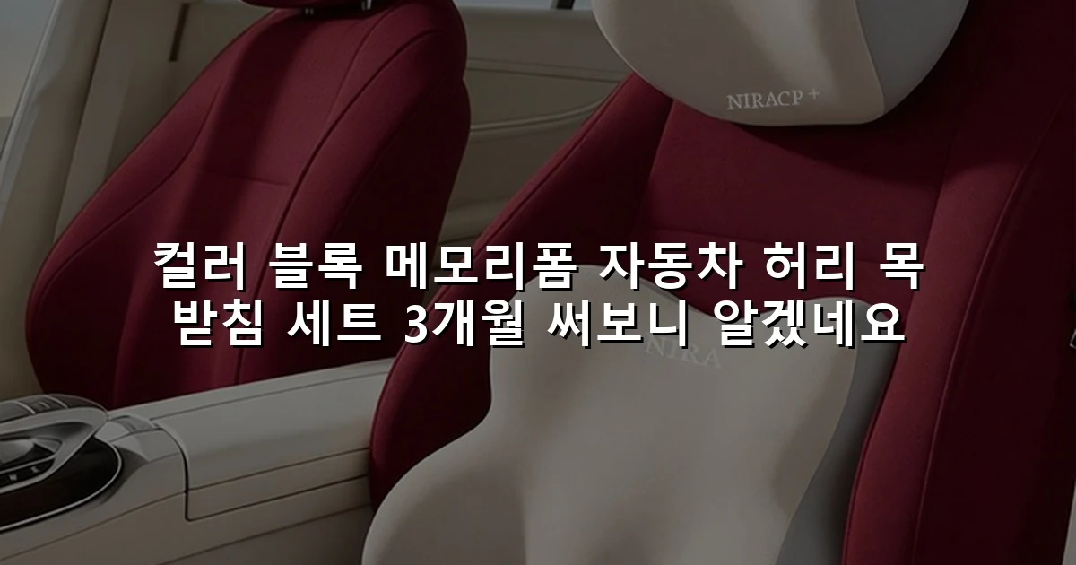 컬러 블록 메모리폼 자동차 허리 목 받침 세트 3개월 써보니 알겠네요