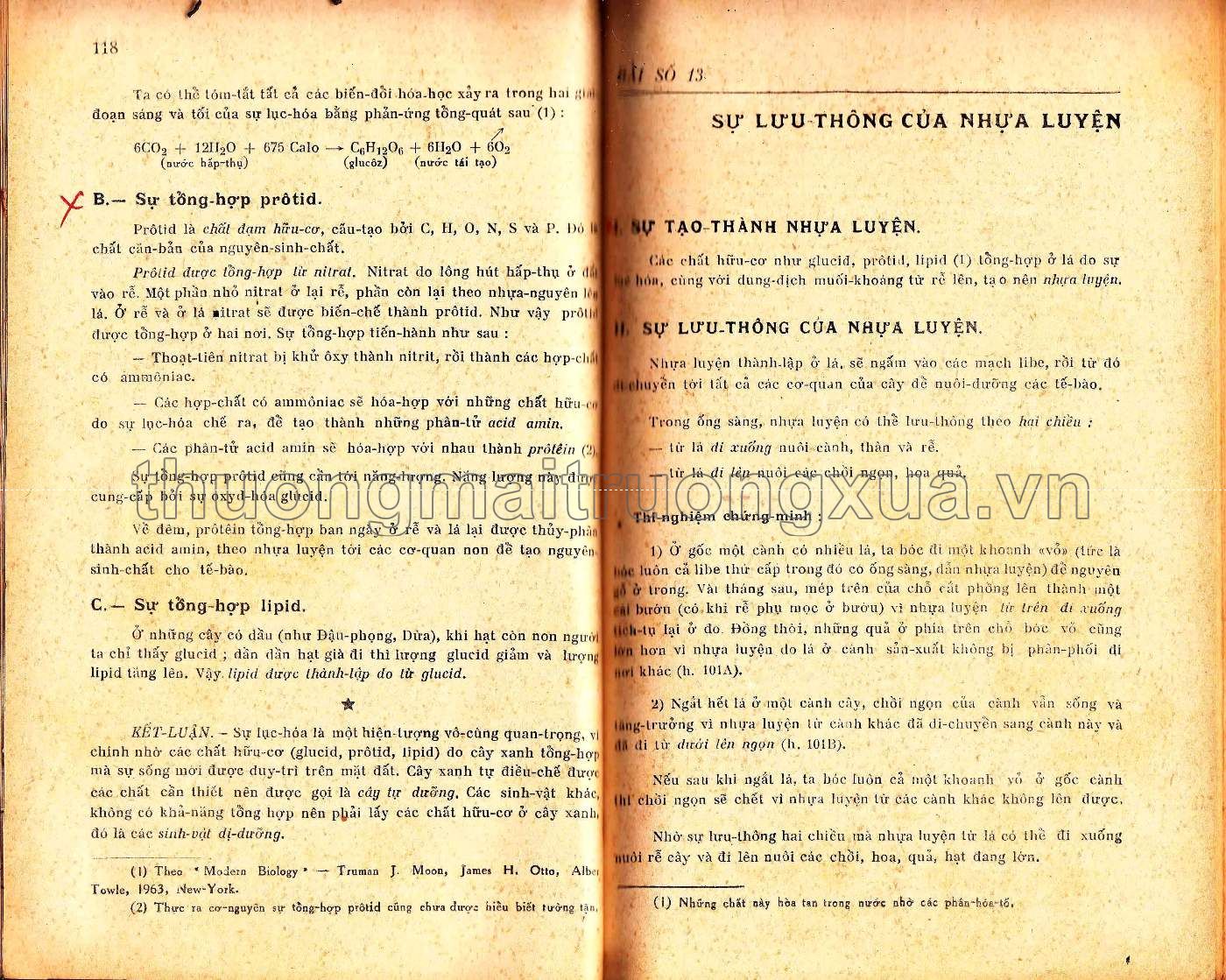 Vạn vật học đệ nhị A (1965) - Trang 59