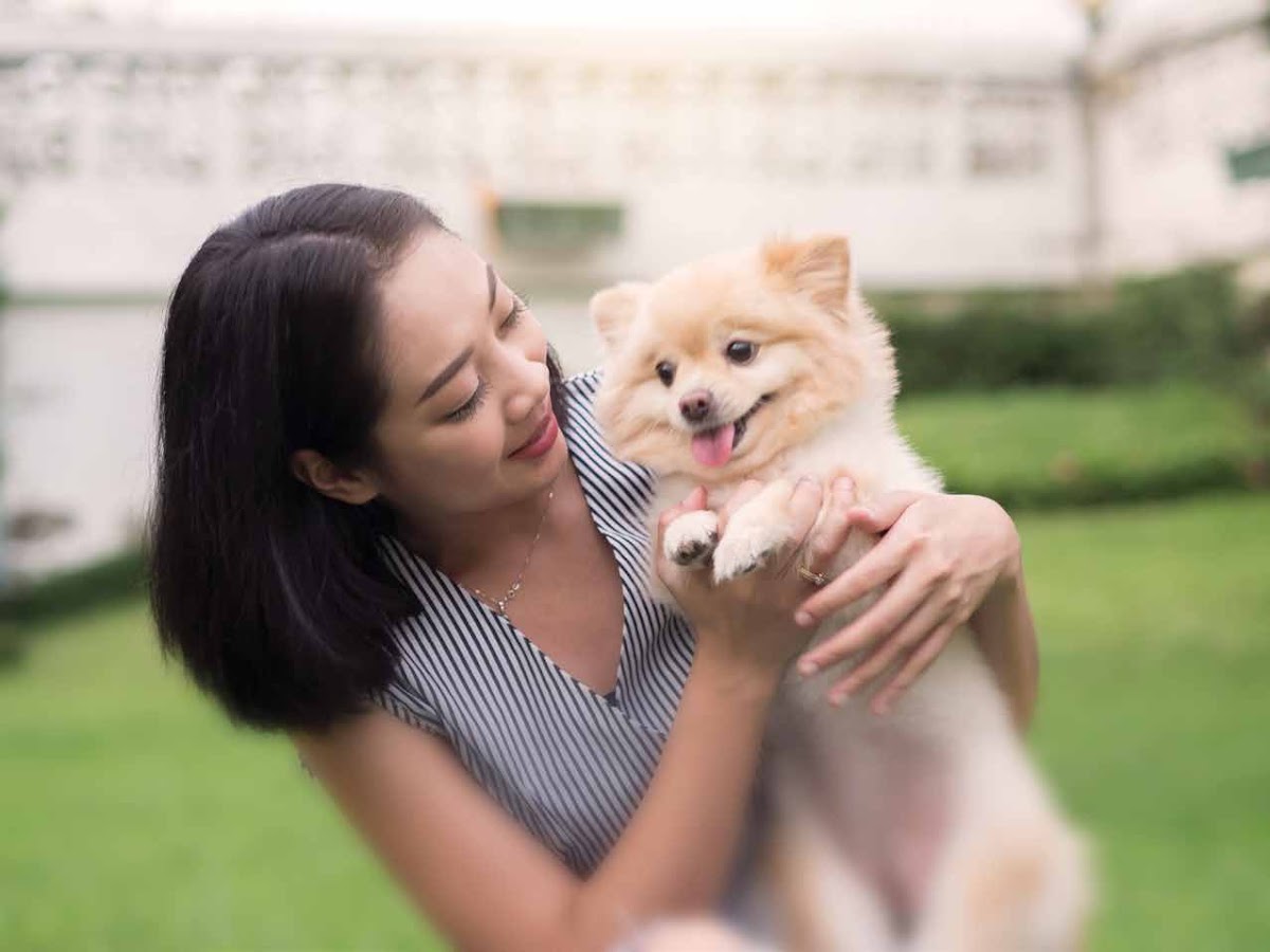 Ayanna Resort Residences @ Bukit Jalil — facility pet friendly park