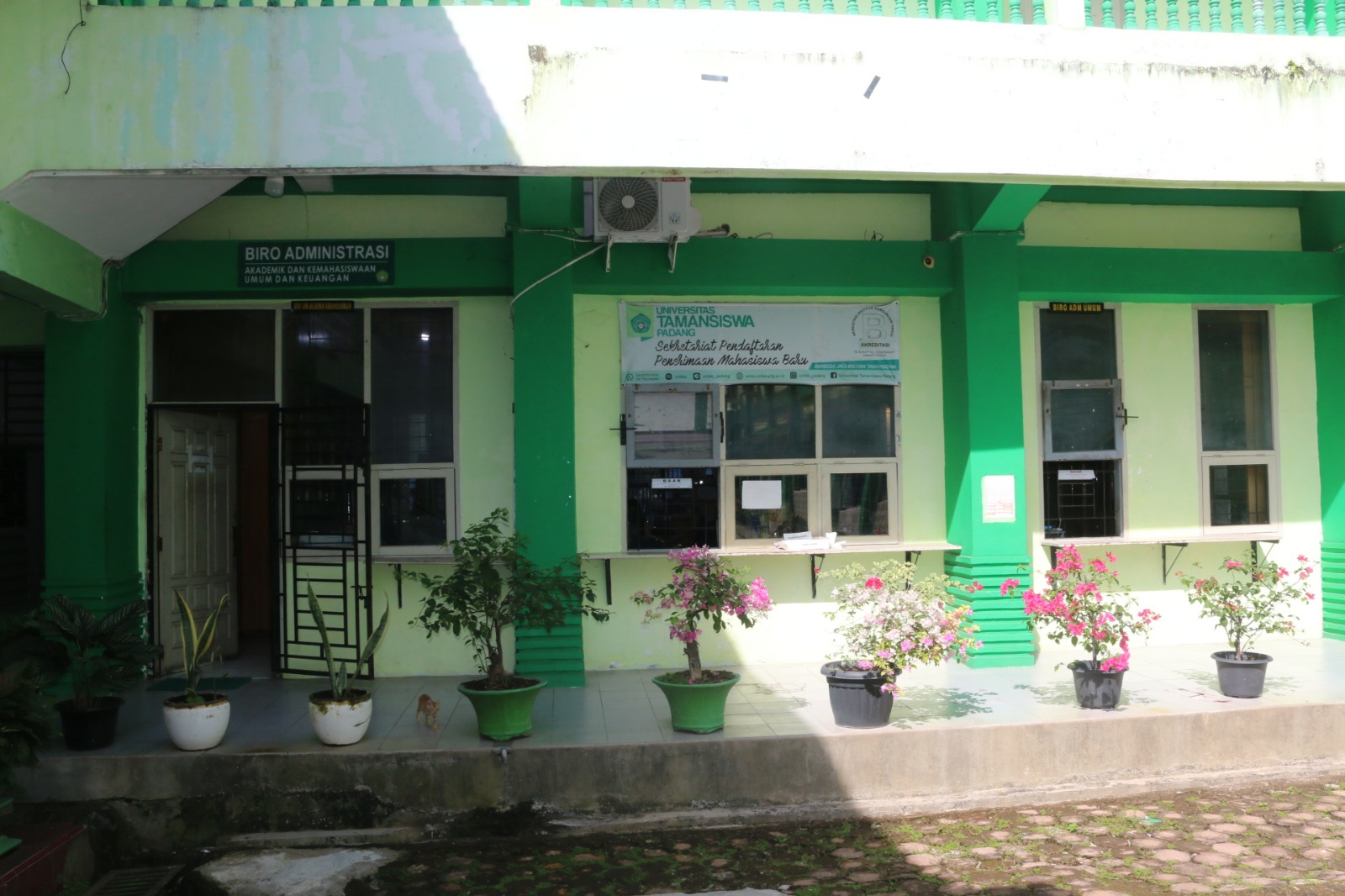 Kesehatan 2