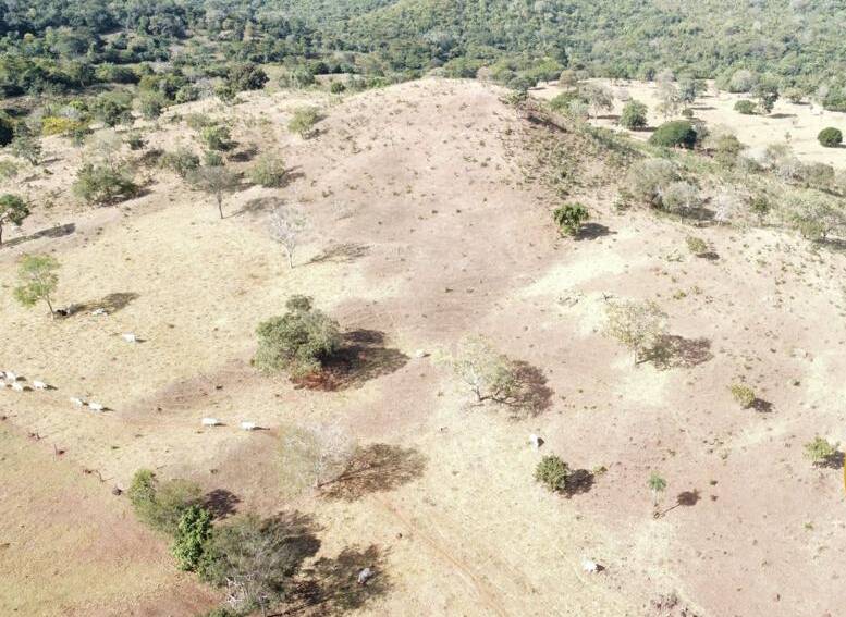 Fazenda no Município de Faina - GO 6