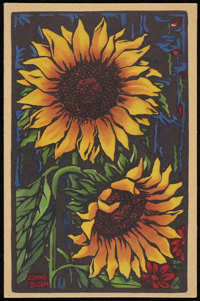 Zonnebloem 1906