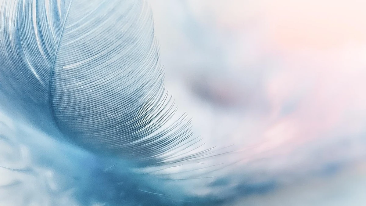 AI 모델 경량화 기술 구조와 주요 적용 사례 비교