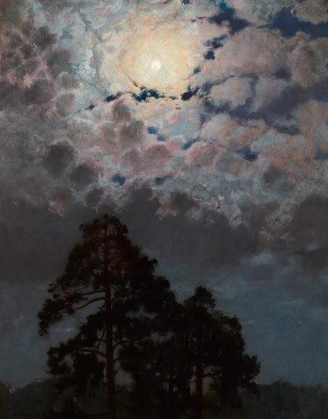 Pines 1900