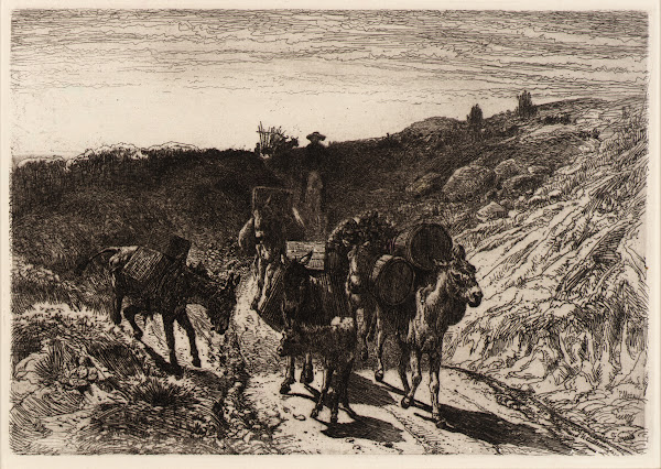 A Burro Train New Mexico ca 1881 1883