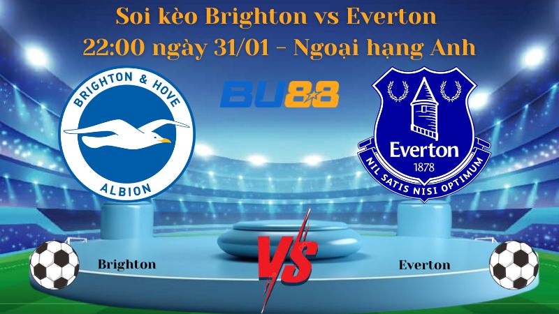 Soi kèo Brighton vs Everton 22:00 ngày 31/01