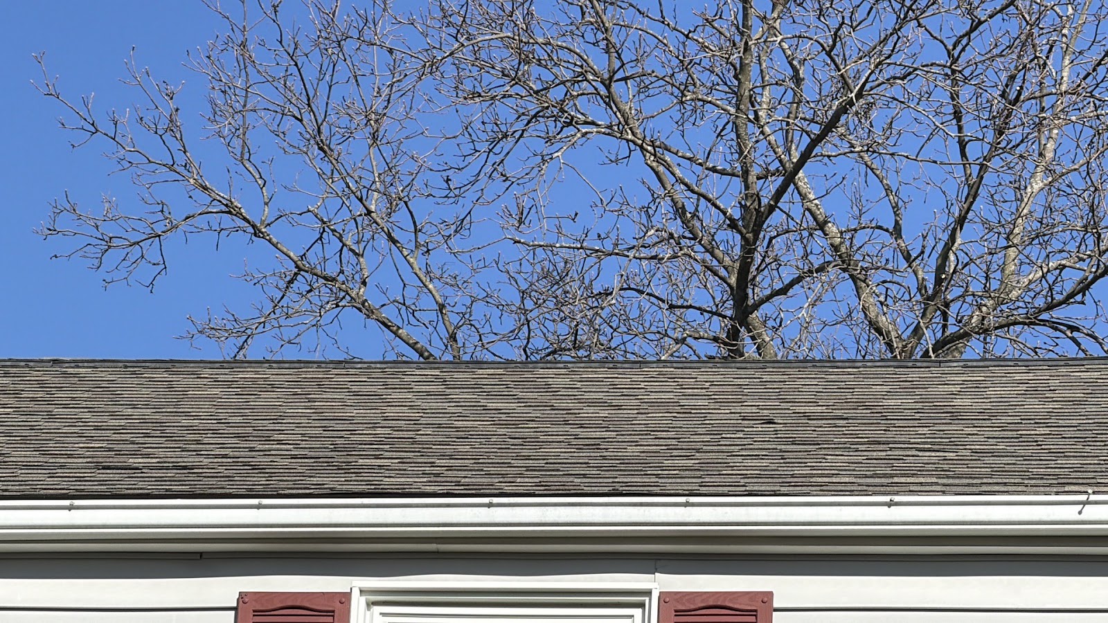 Copy of IMG_2026-03-12_16-54-01_560.jpg