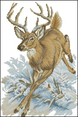 CMP 400899 Pattern