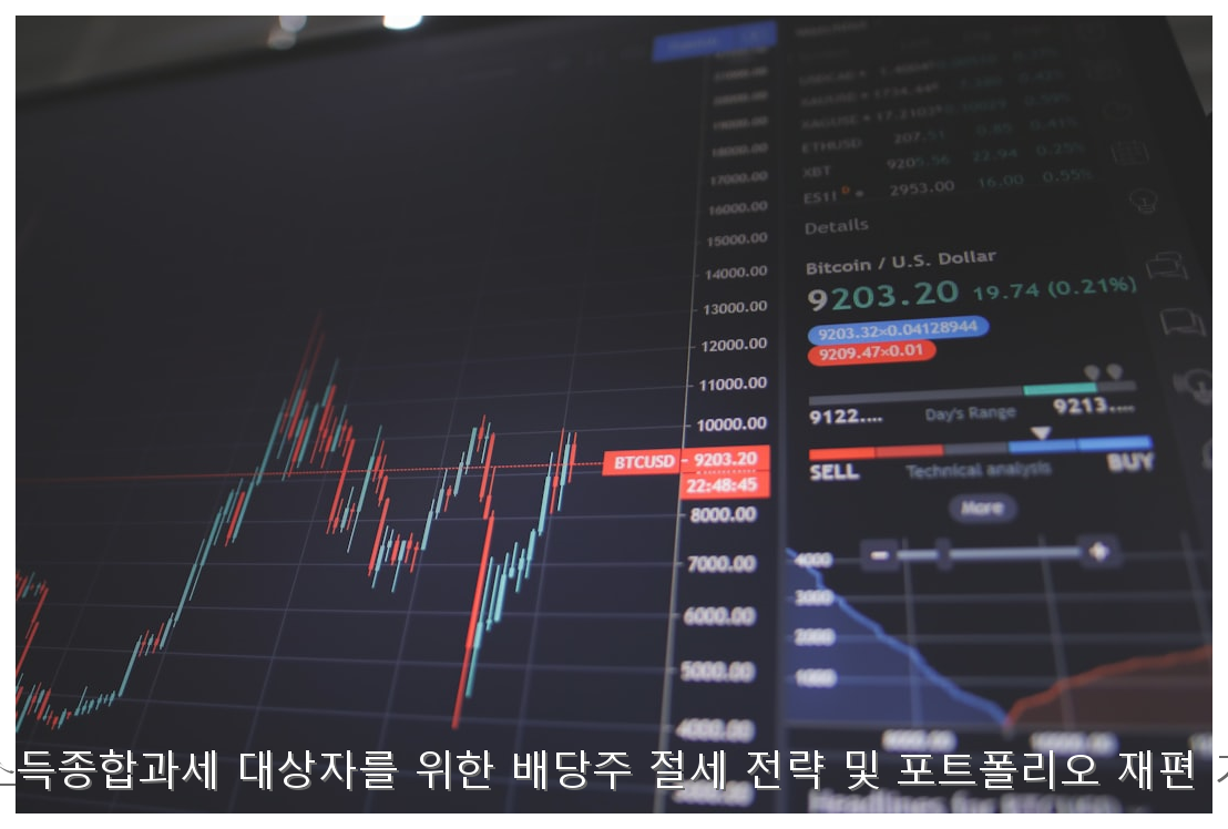 금융소득종합과세 대상자를 위한 배당주 절세 전략 및 포트폴리오 재편 가이드 핵심 안내 및 분석 인포그래픽 (7)