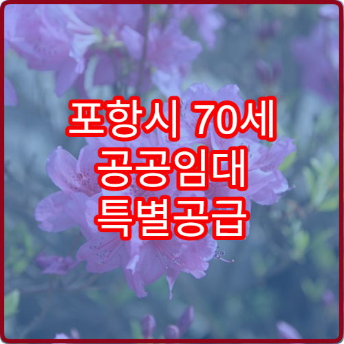 포항시 70세 공공임대 특별공급 2026 모집 일정