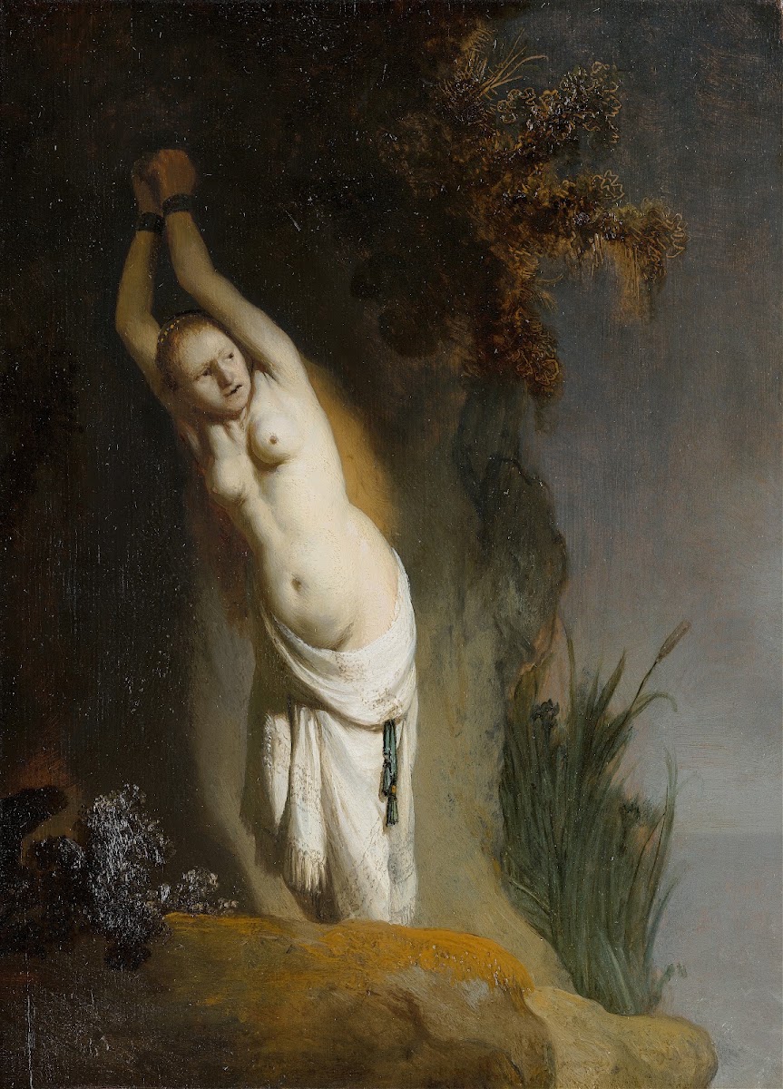 Andromeda C 1630
