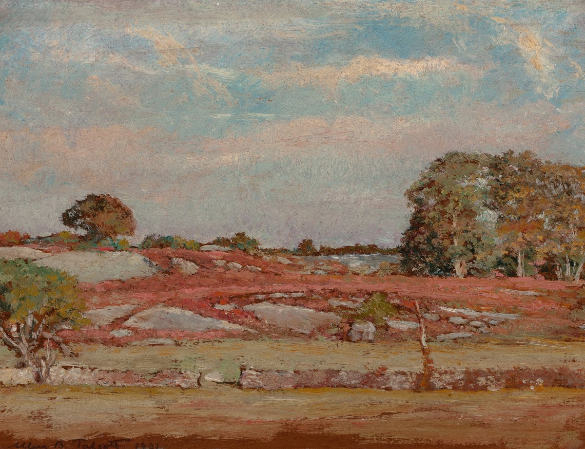 Rocks And Barberry 1901