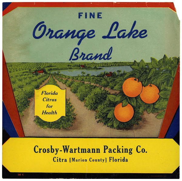 Orange Lake Brand Citrus Label 1930 1950