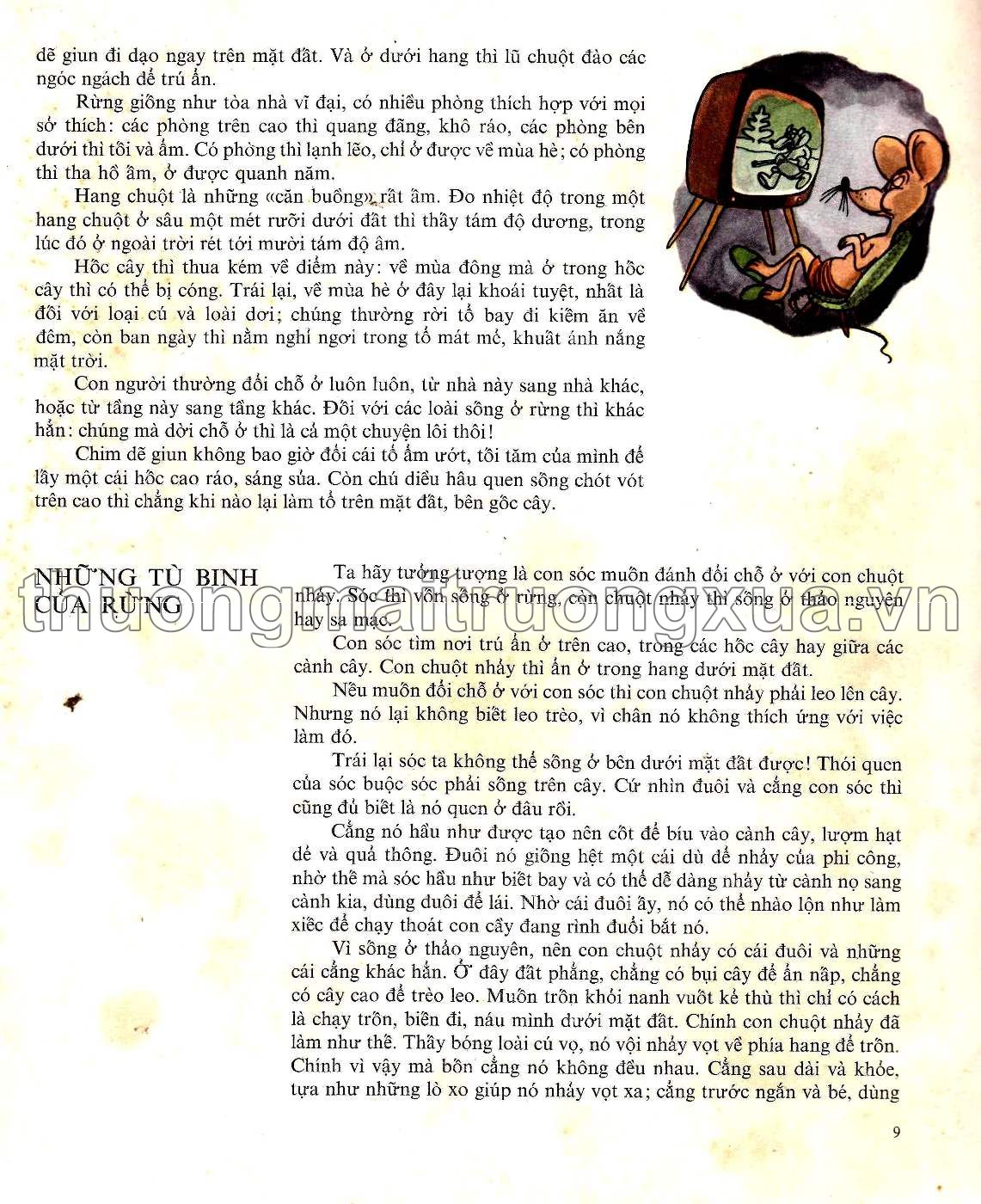 Con người trở thành khổng lồ (1982) - Trang 7