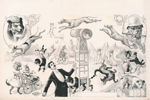 Performing dogs 1900
