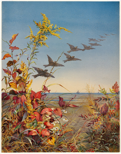 October 1876