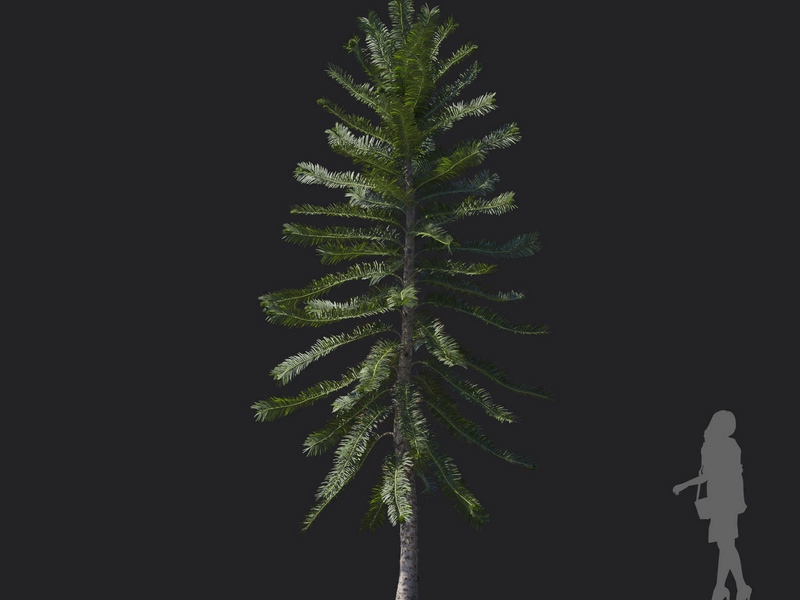Maxtree - Plant Models Vol.121
