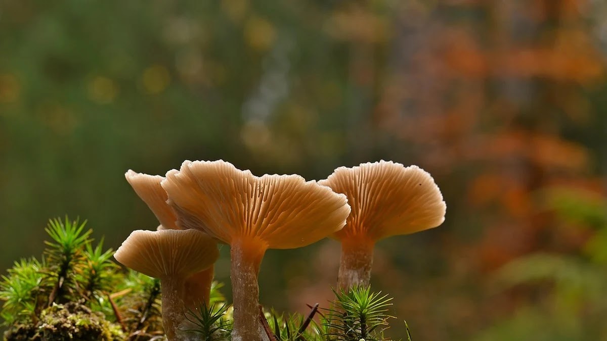 소비 패턴별 맞춤 카드 적립 전략 구성법