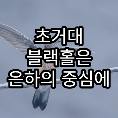 초거대 블랙홀은 은하의 중심에 왜 존재할까?