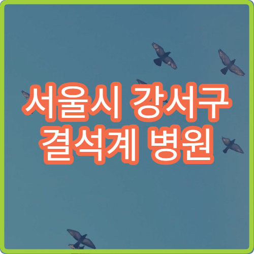 서울시 강서구 결석계 병원 진단서 발급 학생용 진단서 비용과 발급 절차