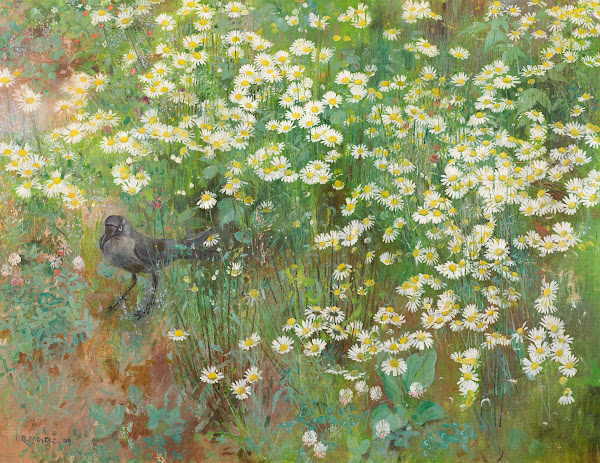 Coucas Dans Champ De Marguerites 1909