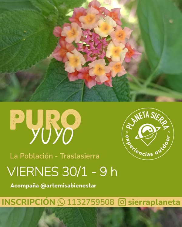 PURO YUYO