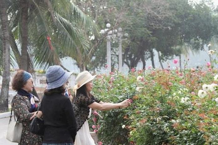 Hạ rào công viên: Người dân nói gì về lợi ích thiết thực? - Báo Hà Nội Mới