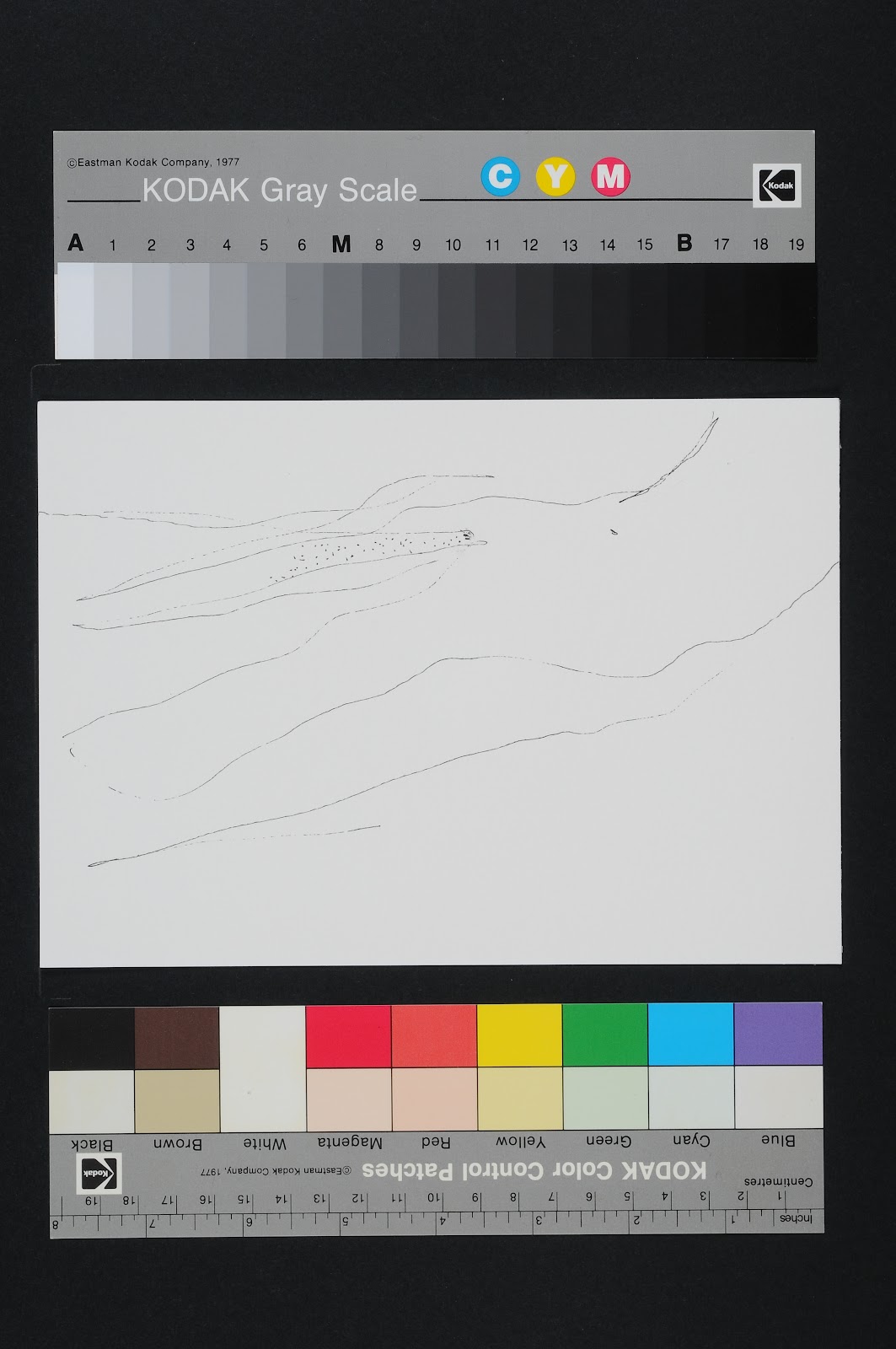 Drawn Poems