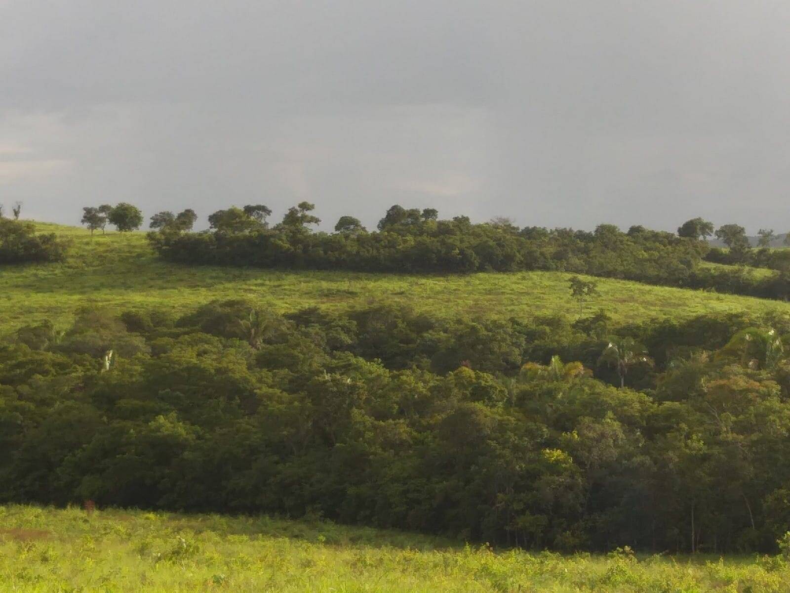 Fazenda em Doverlândia - GO 8