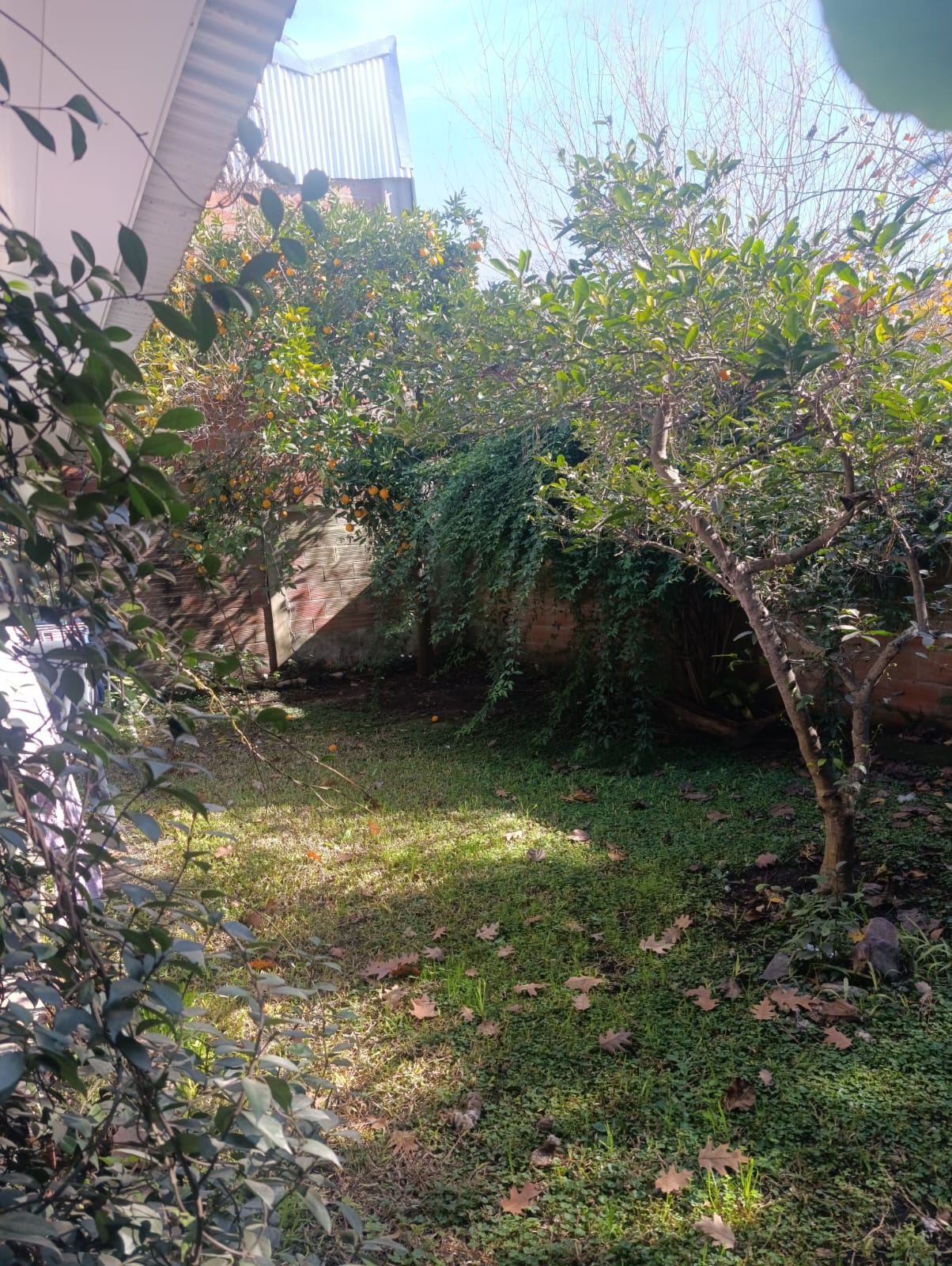 Foto 6