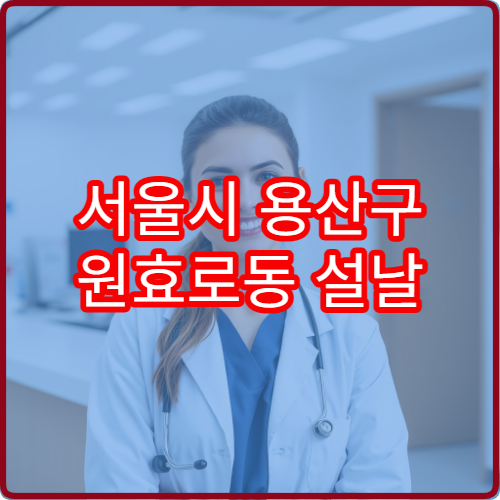 서울시 용산구 원효로동 설날 명절 연휴 당직약국 원효로교차로·효창공원 주변 심야 운영 감기약 구매 가능