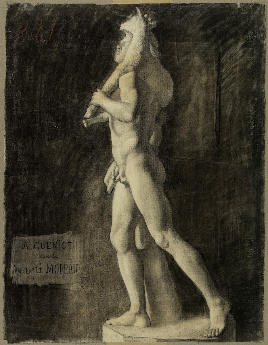 LAegophore 1896