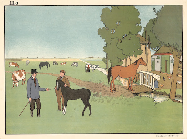 Farm animals 1904