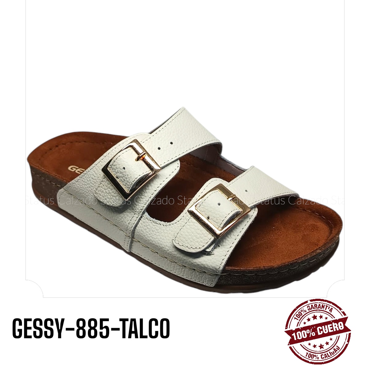 GESSY-885-TALCO