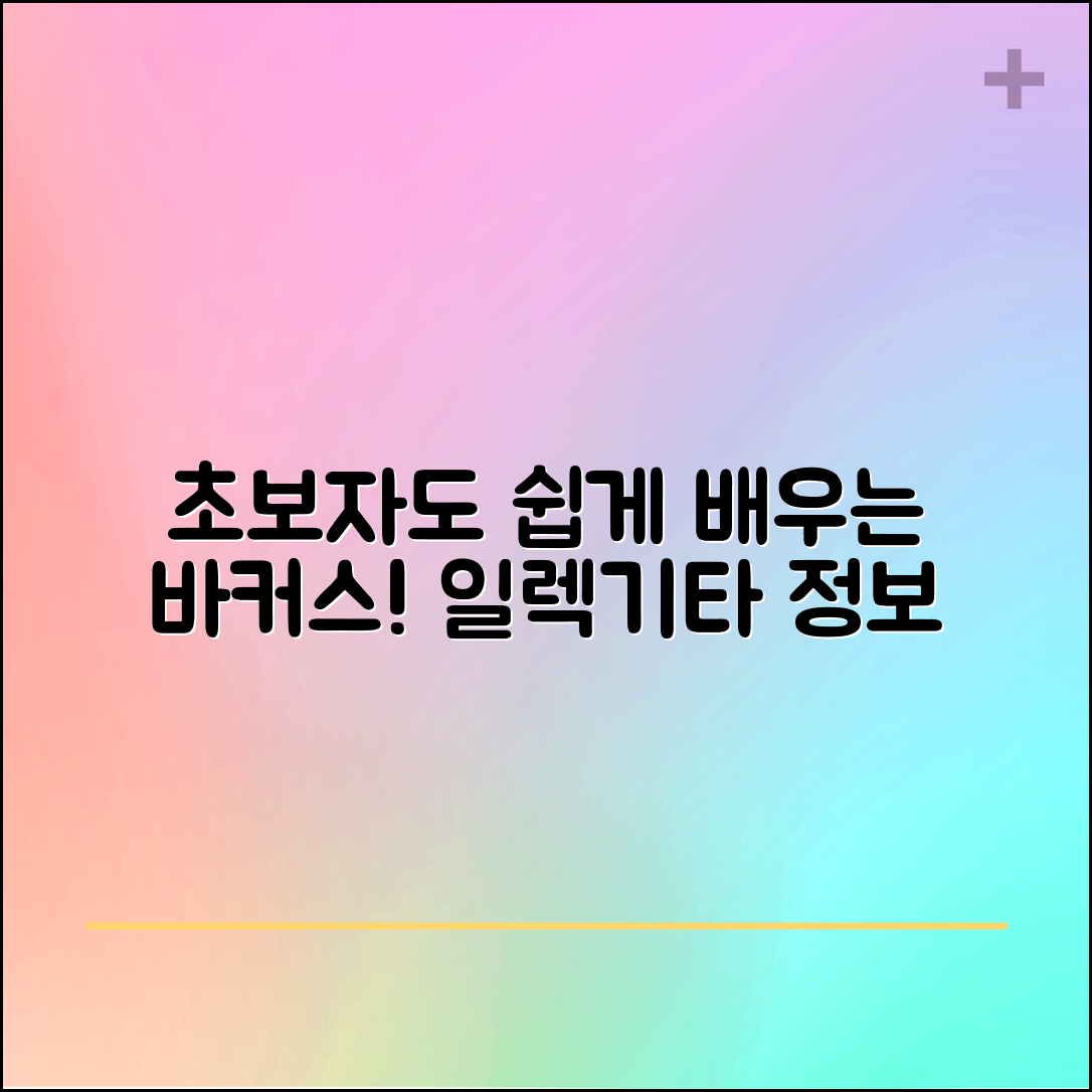 초보자도 쉽게 배우는 바커스일렉기타 정보