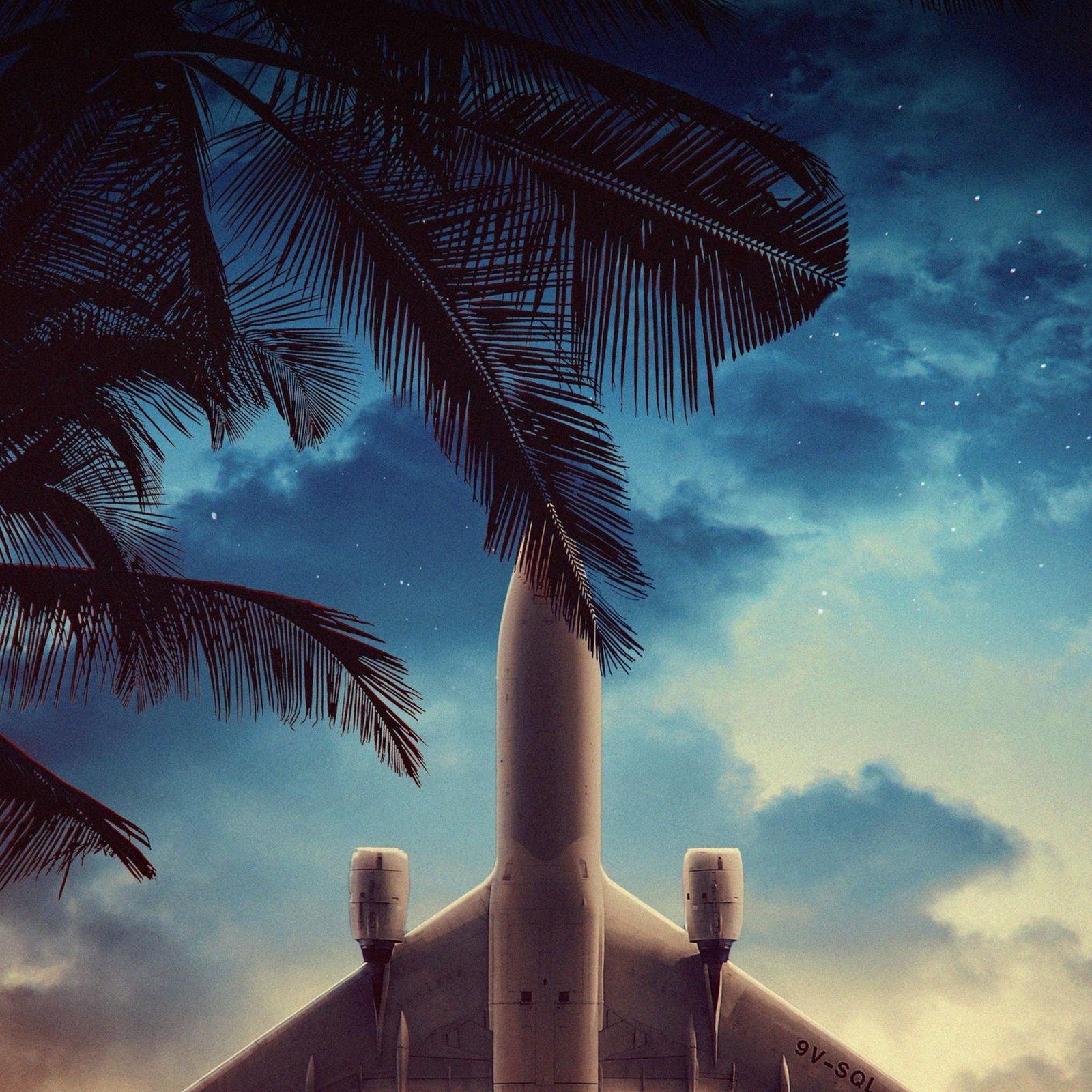 Download Airplane Flying Through Tropical Sunset Full HD iPhone