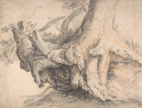 Study of a Tree ca 16067