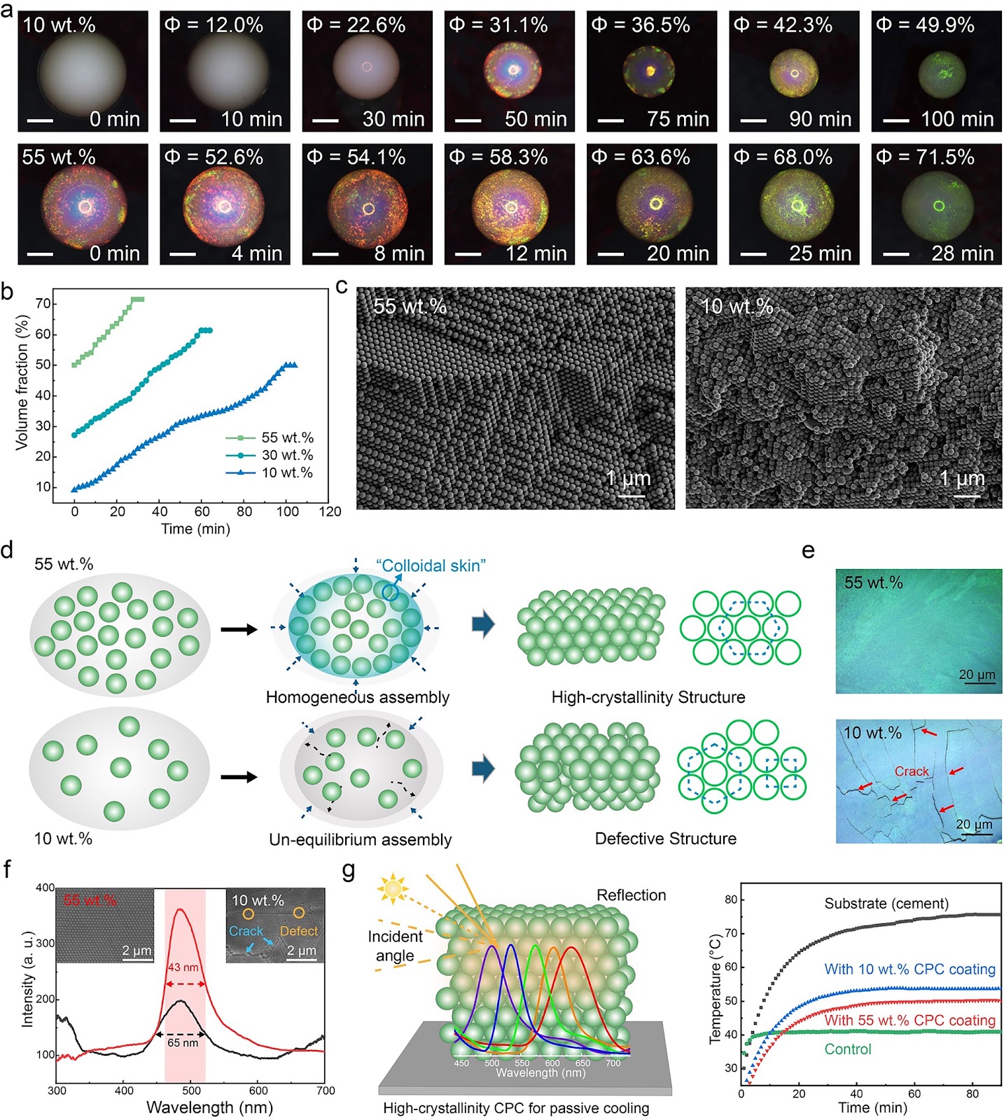 Scalable-Designed Photonic Metamaterial for Color-Regulating Passive Daytime Radiative Cooling