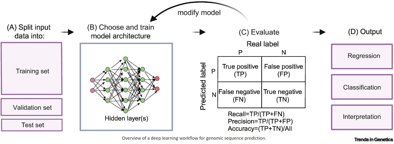 AI in genetics