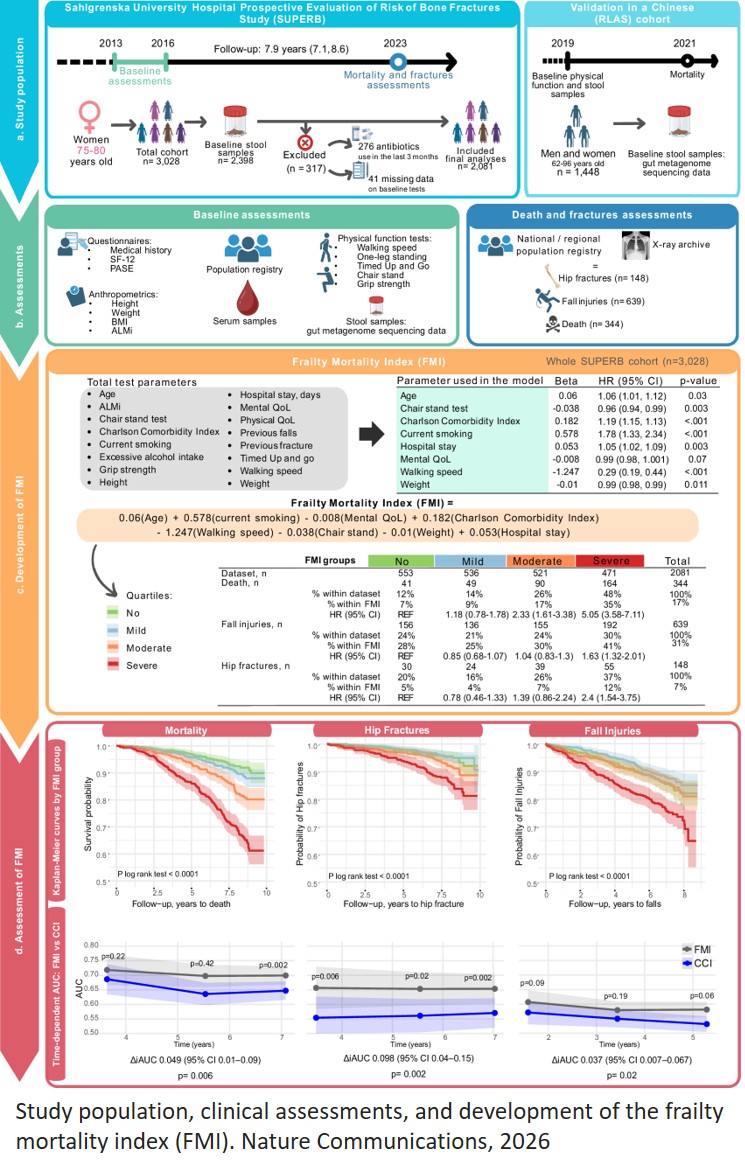 Gut microbiota associates with frailty in older women