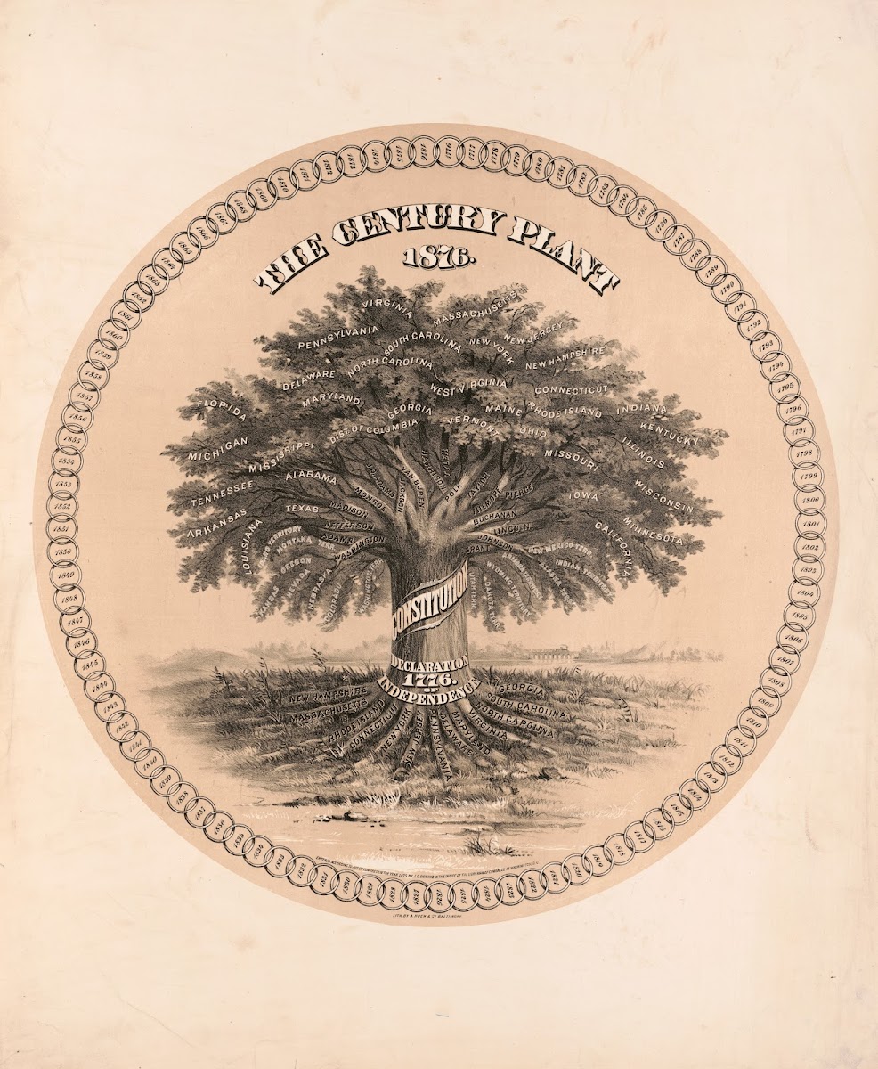 The century plant 1876 1876