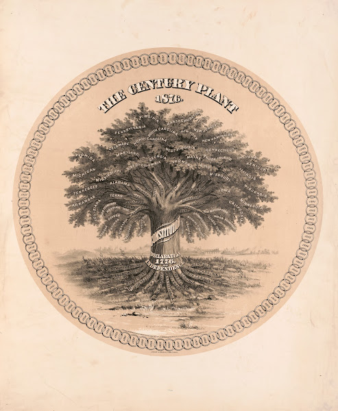 The century plant 1876 1876