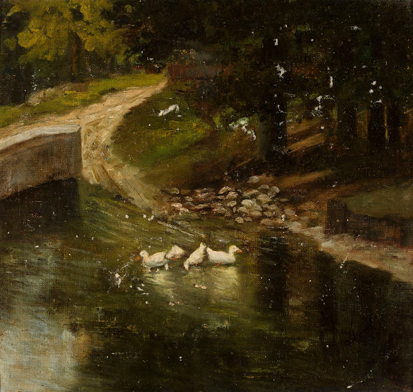 Forest landscape with a creek and ducks