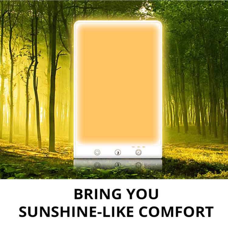 LED light therapy lamp with timer and dimming function