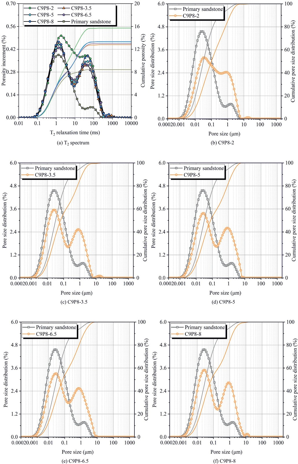 Development and application of rock rheological constitutive model considering dynamic stress field and seepage field