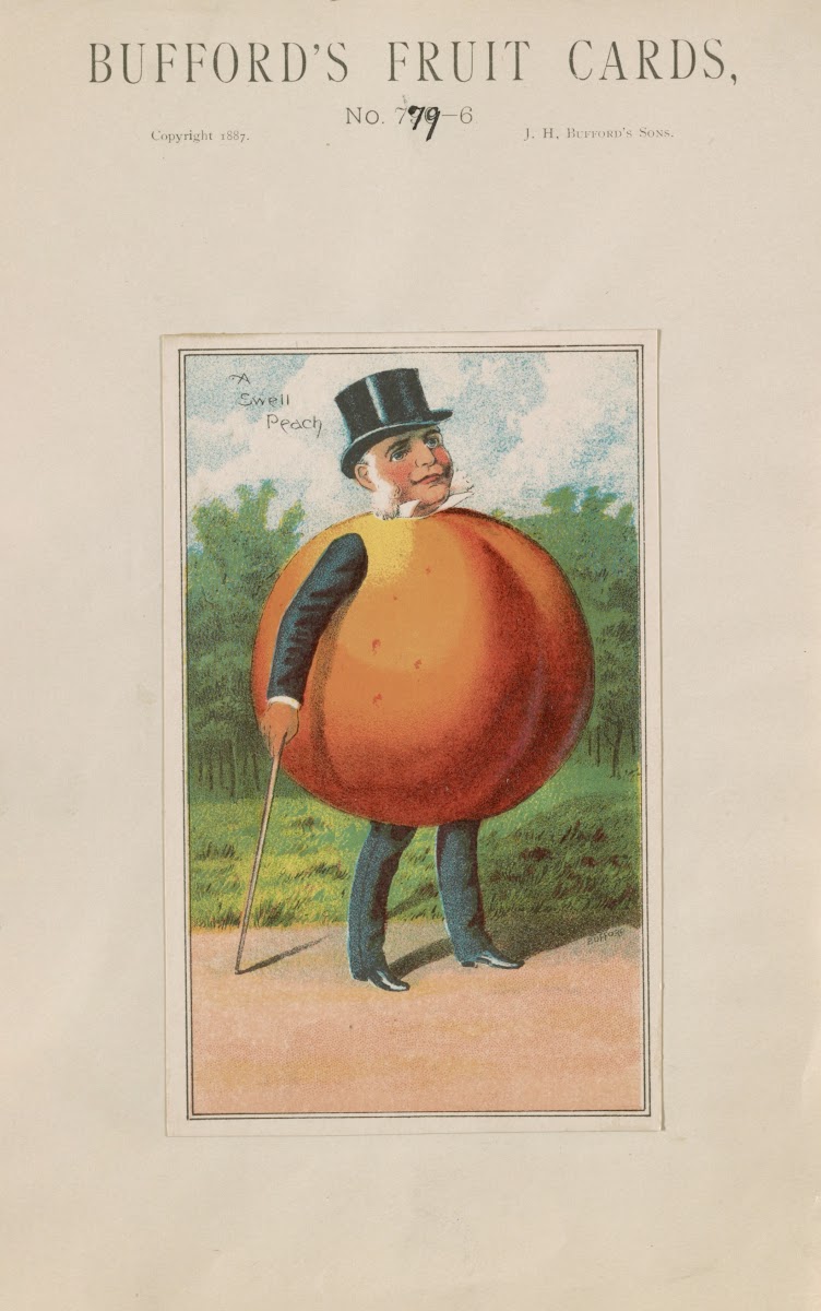 Buffords Fruit Cards No 779 6 Peach 1887