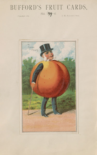 Buffords Fruit Cards No 779 6 Peach 1887