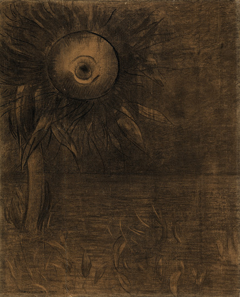 Fleur sur un marécage 1885