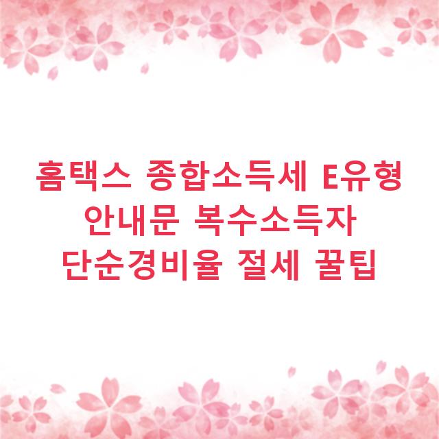 홈택스 종합소득세 E유형 안내문 복수소득자 단순경비율 절세 꿀팁